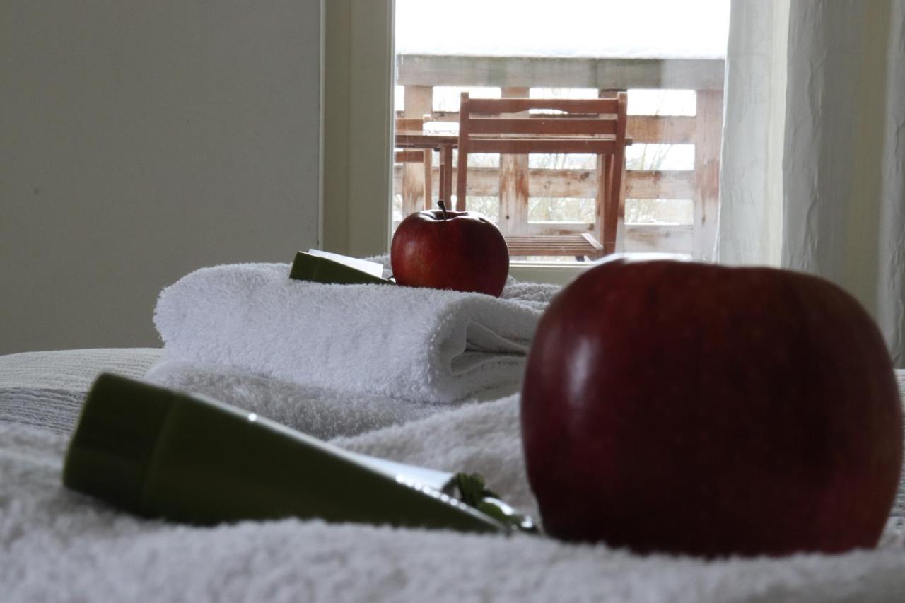 Penzion Vila Elektra Bechyně エクステリア 写真