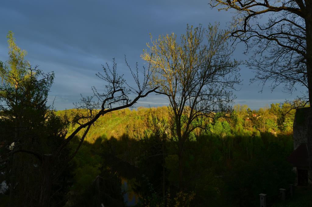 Penzion Vila Elektra Bechyně エクステリア 写真