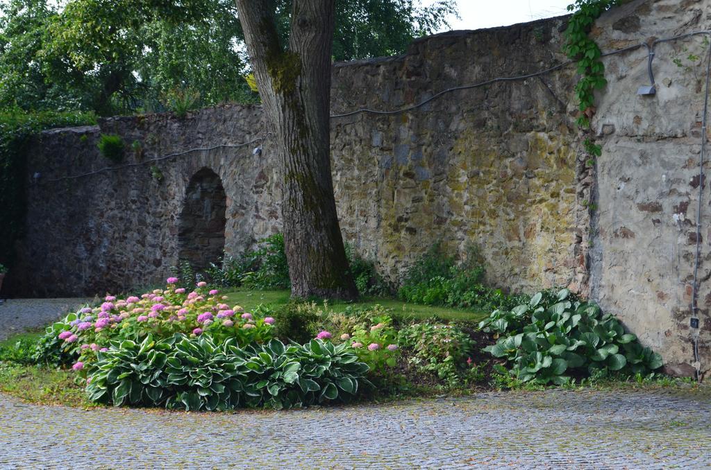 Penzion Vila Elektra Bechyně エクステリア 写真
