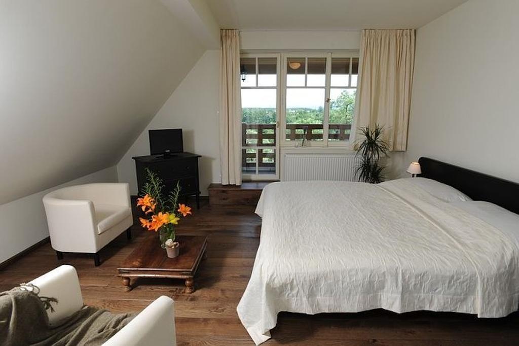 Penzion Vila Elektra Bechyně 部屋 写真