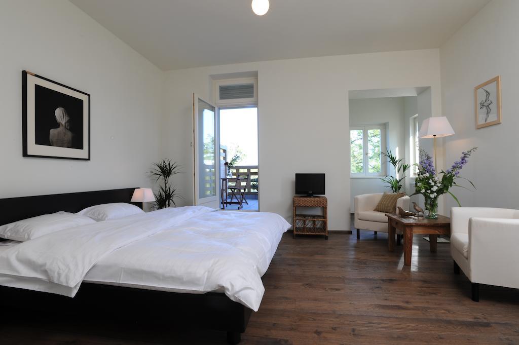 Penzion Vila Elektra Bechyně 部屋 写真
